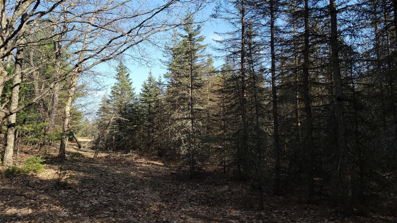 Howes Road Kaleva, MI 49645 - Photo 16 of 21