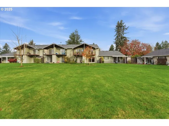 a aerial view of a house with a yard and potted plants
