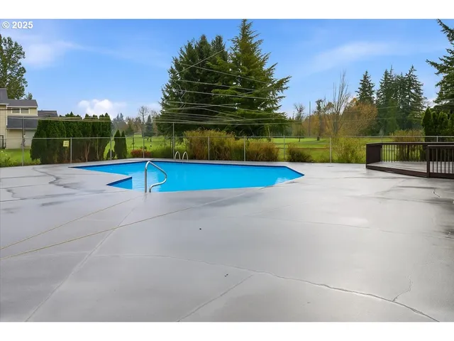 a row of palm trees with a yard