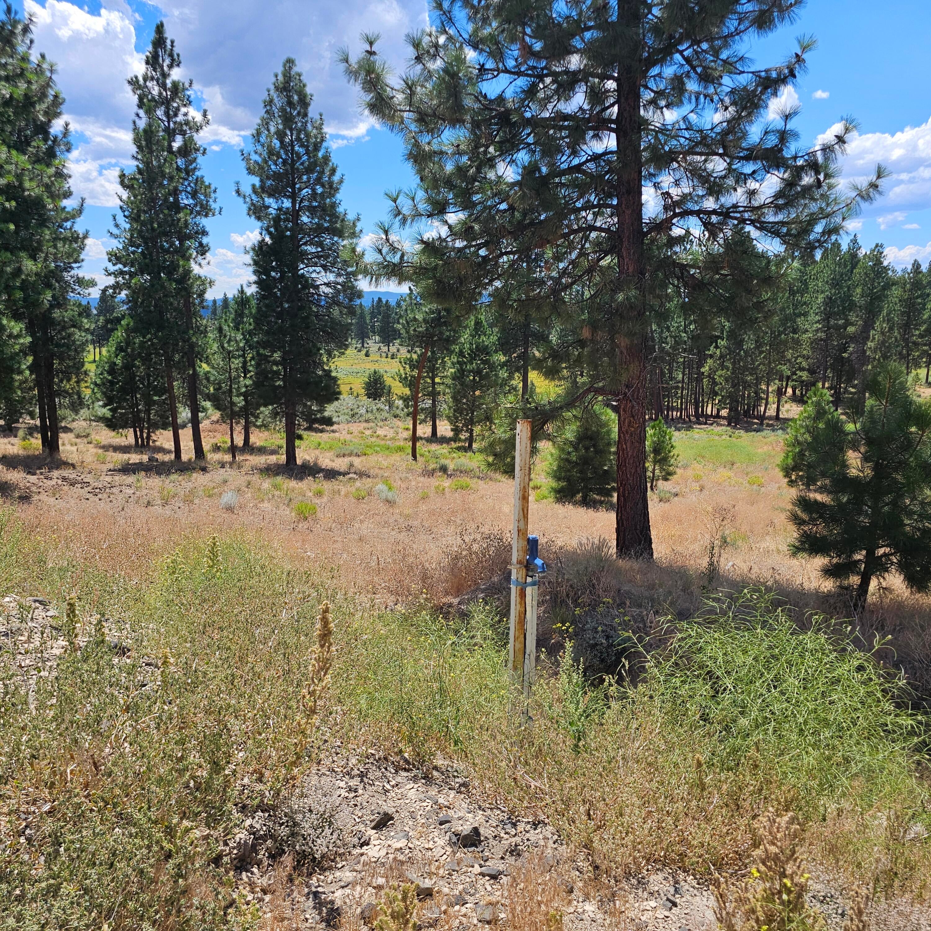 33005 Godowa Springs Road Beatty, OR 97621 - Photo 31 of 36 20250728_142406(0)