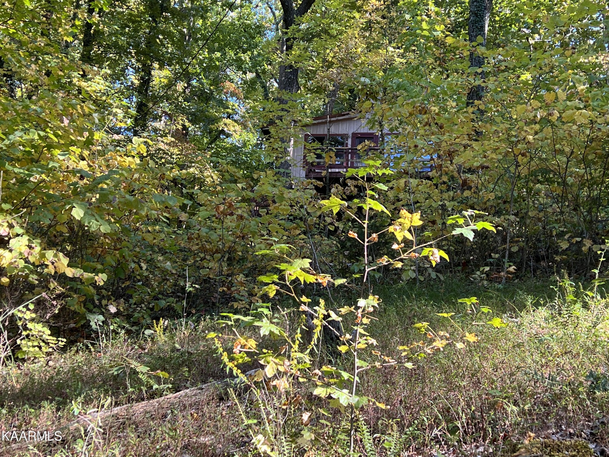 2461 River Road Kingston, TN 37763 - Photo 16 of 21 Gallery Image 16