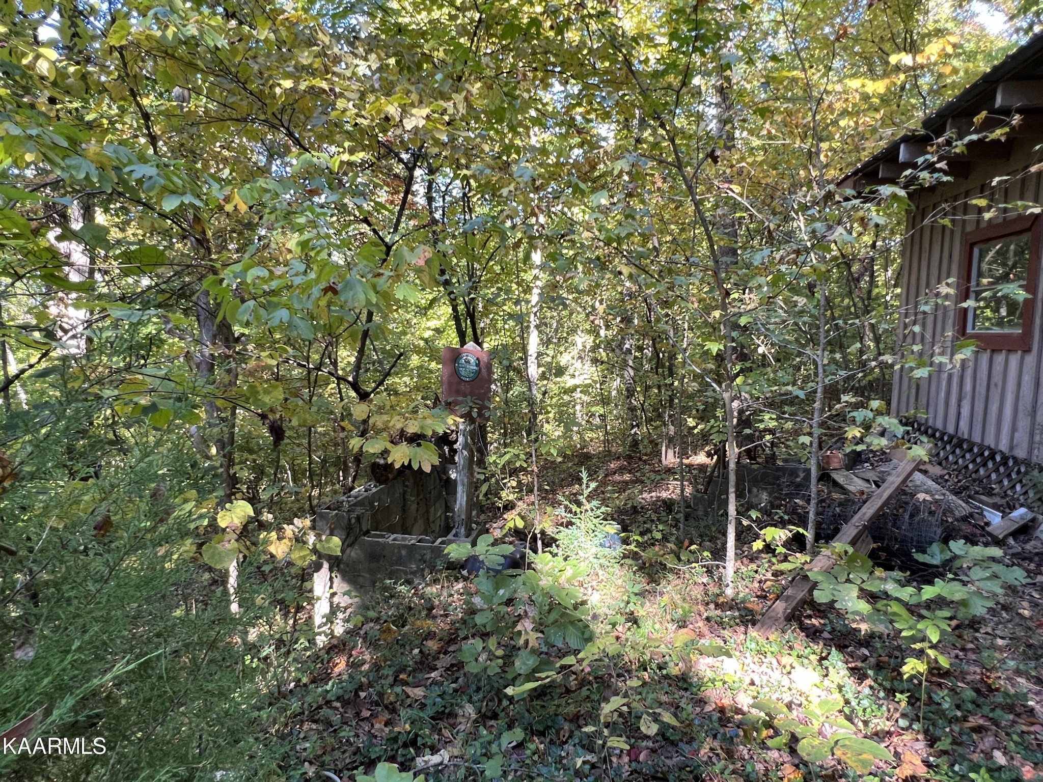 2461 River Road Kingston, TN 37763 - Photo 18 of 21 Gallery Image 18
