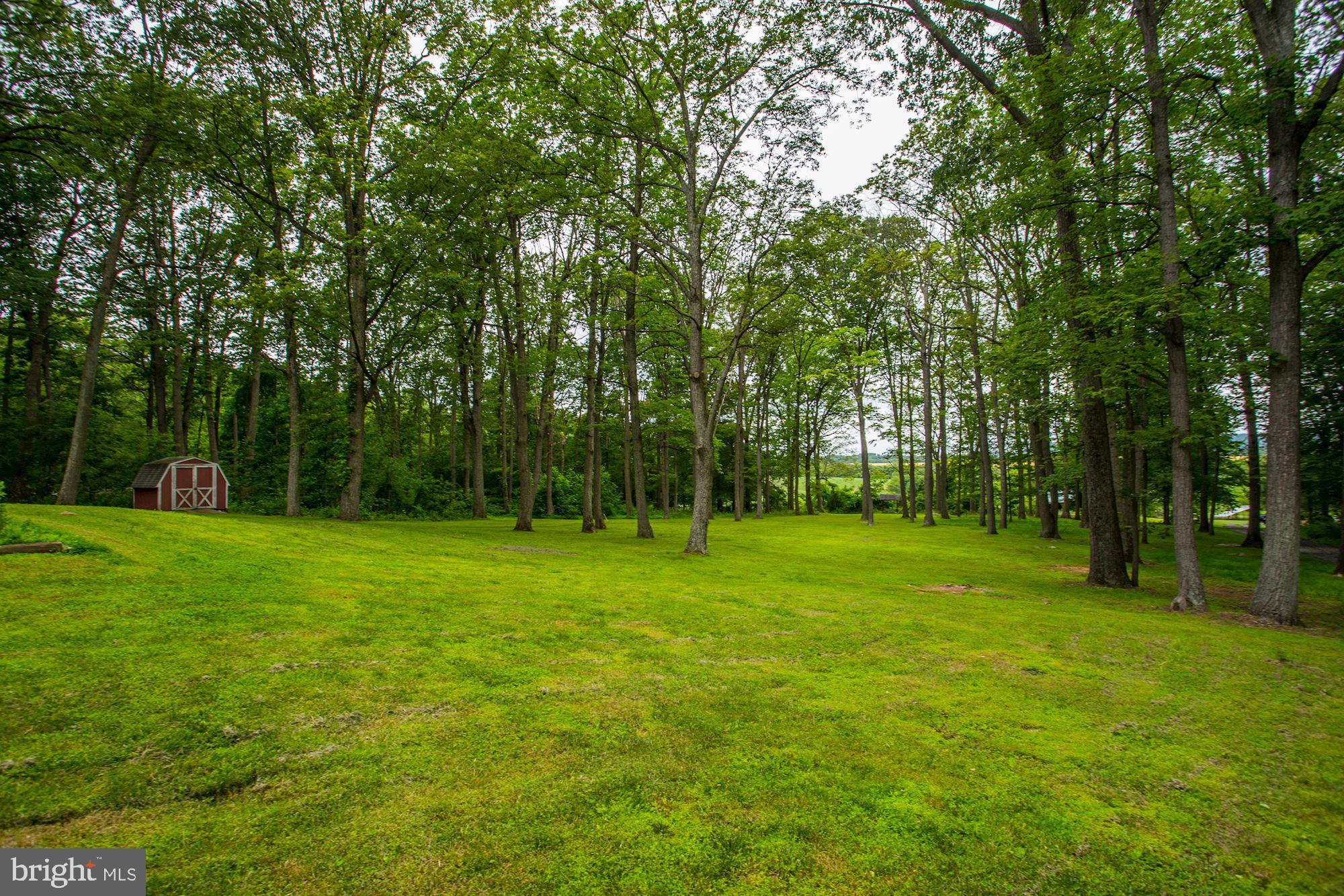 23208 Peach Tree Road Clarksburg, MD 20871 - Photo 48 of 51 Back yard