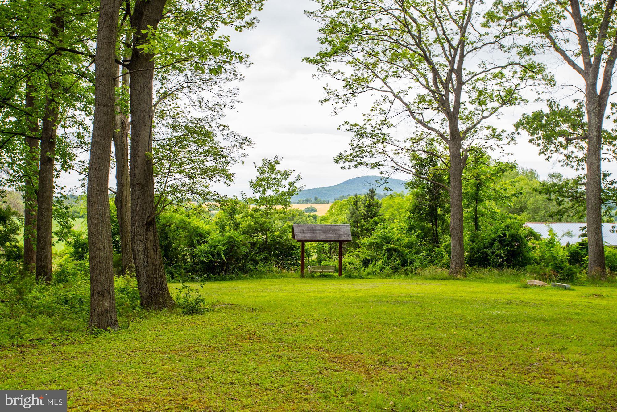 23208 Peach Tree Road Clarksburg, MD 20871 - Photo 49 of 51 Scenic vistas and view of Sugarloaf Mountain
