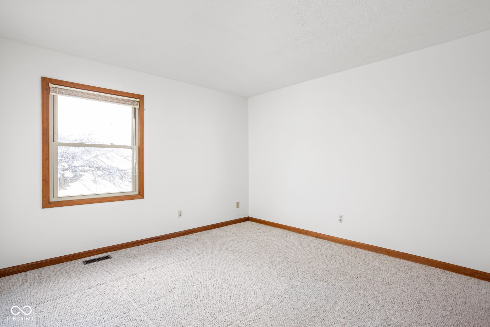 10699 North Carthage Pike Carthage, IN 46115 - Photo 22 of 50