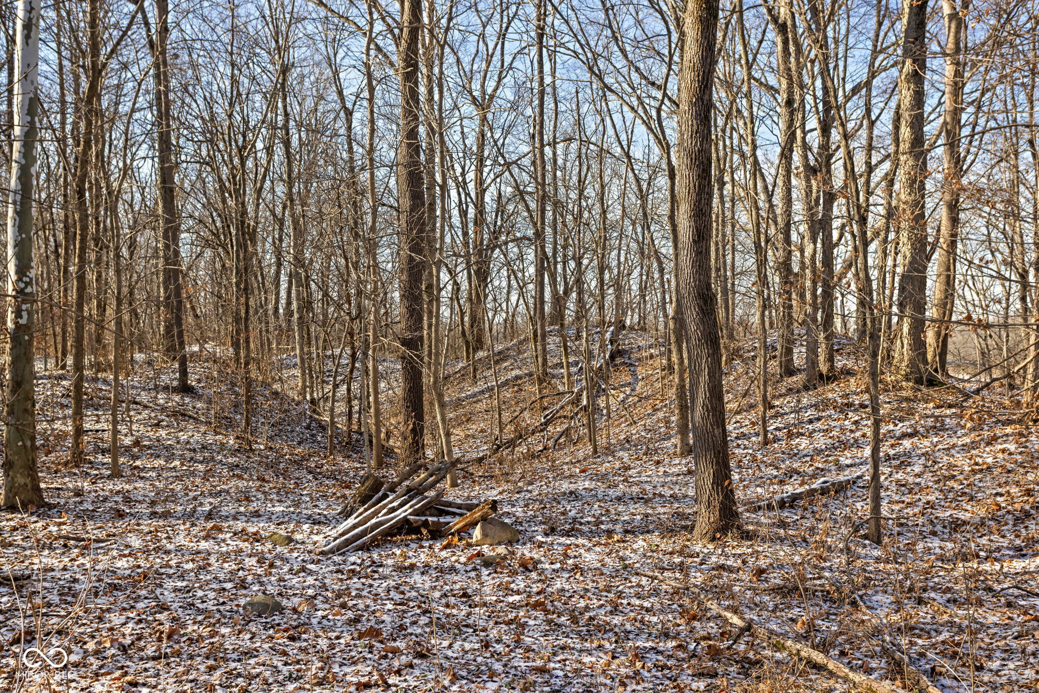 10699 North Carthage Pike Carthage, IN 46115 - Photo 33 of 50