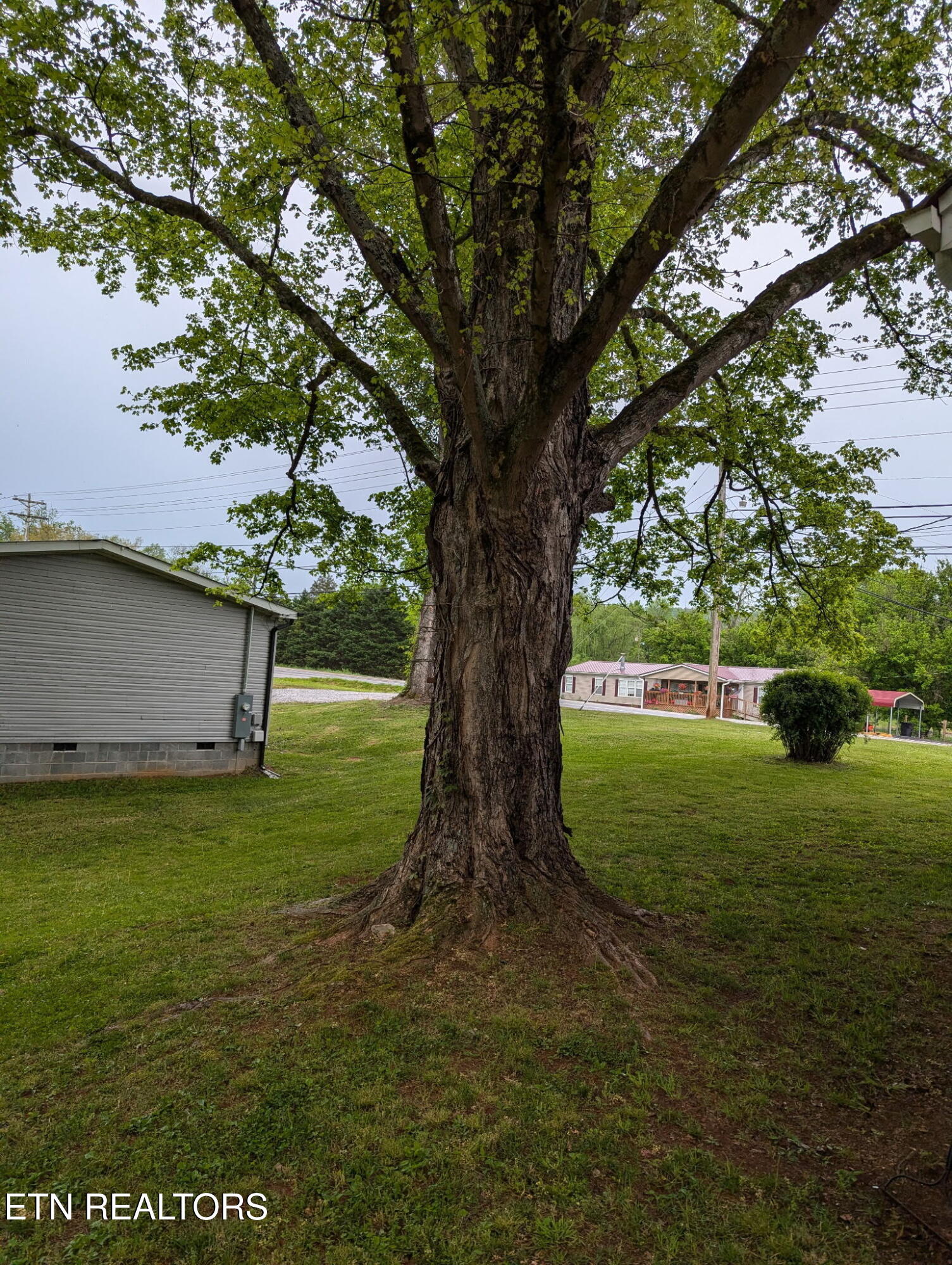 8445 Highway 11W Rutledge, TN 37861 - Photo 7 of 26 1000001008