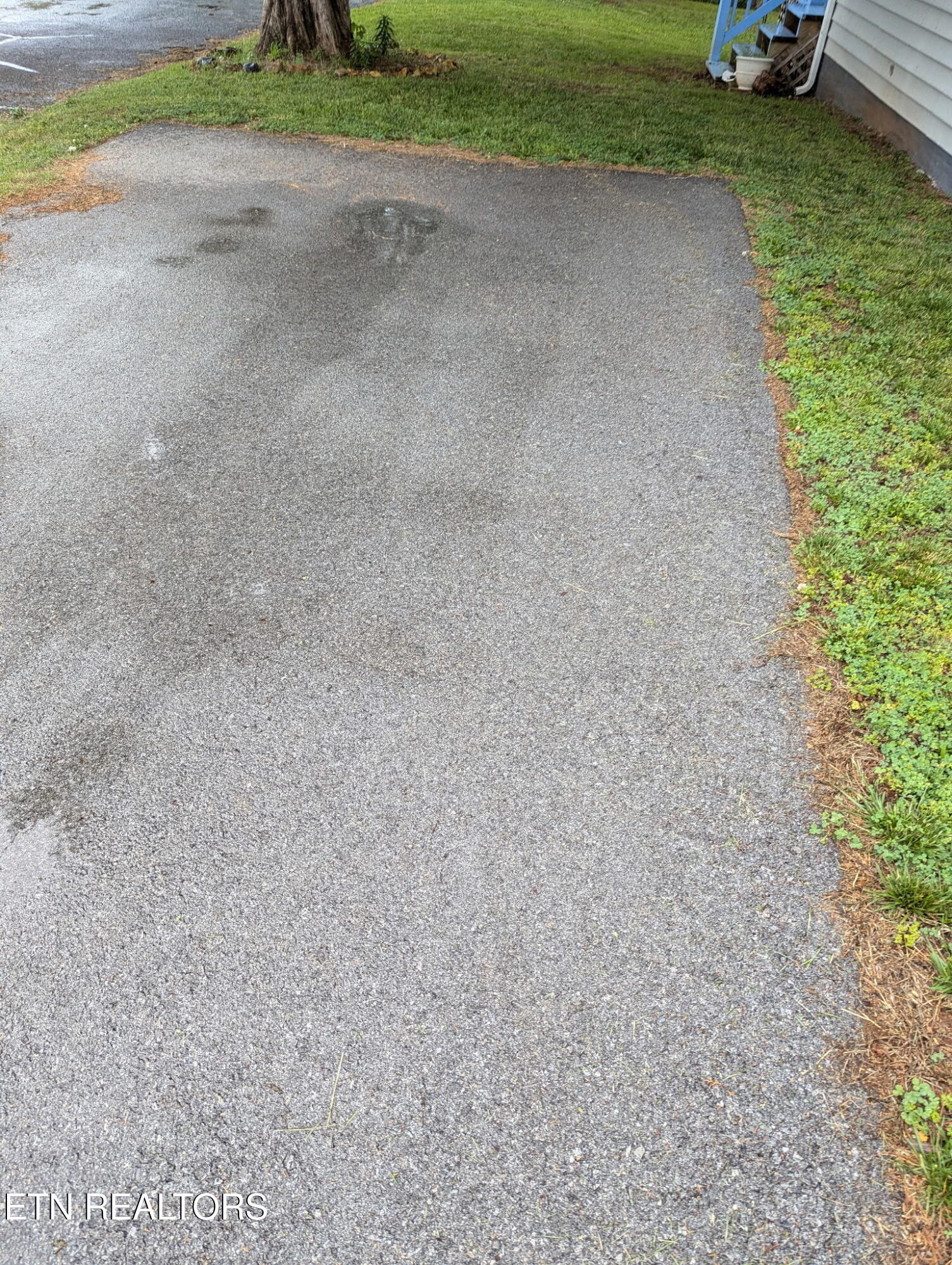 8445 Highway 11W Rutledge, TN 37861 - Photo 9 of 26 1000001013