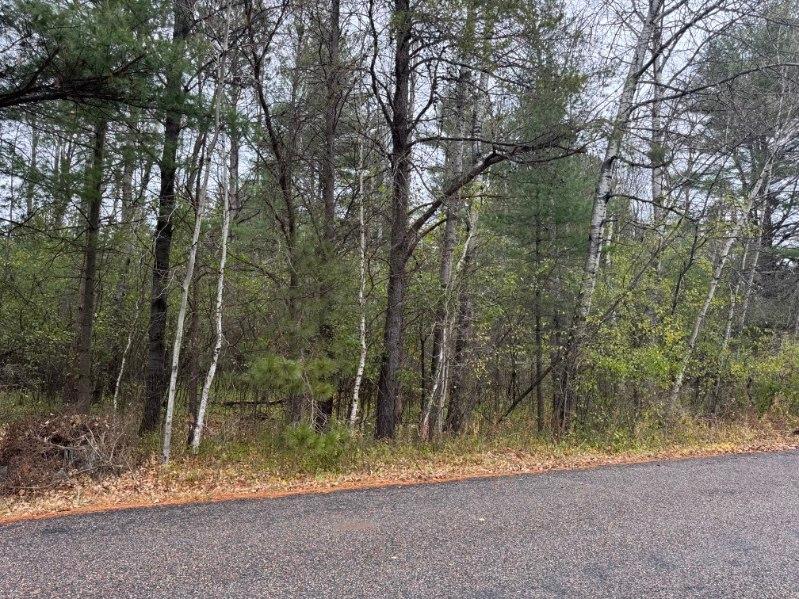 Lot On Pineview Drive Rhinelander, WI 54501 - Photo 1 of 7 Gallery Image 1