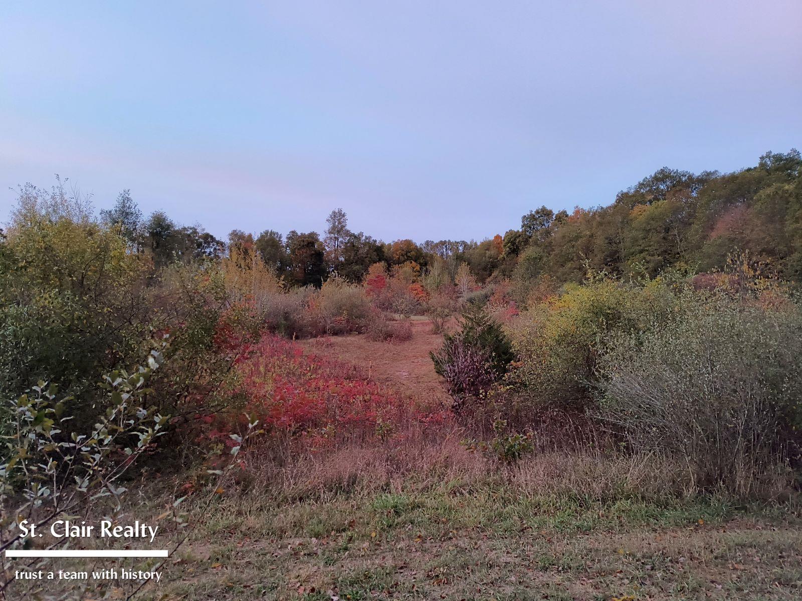 0 Parks Road Goodells, MI 48027 - Photo 2 of 6