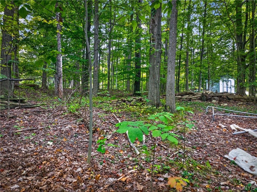 4394 New Paris Road New Hartford, NY 13413 - Photo 9 of 50 Gallery Image 9
