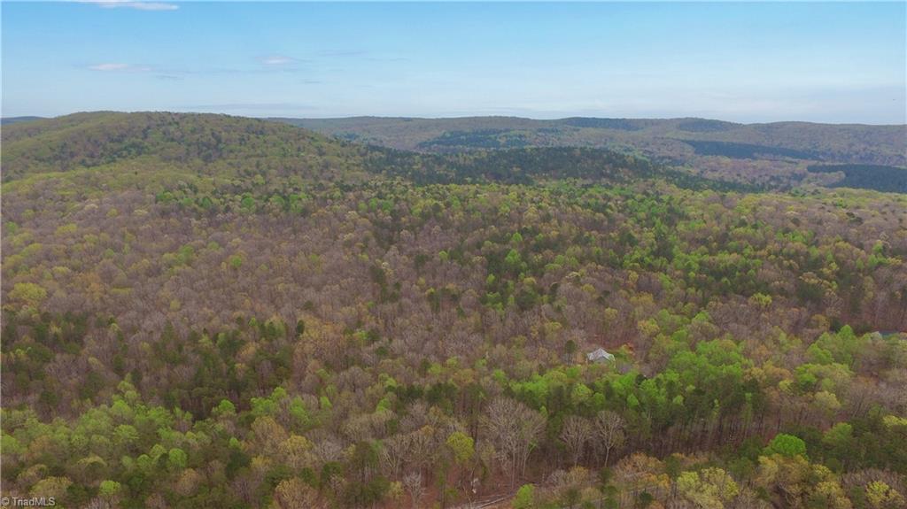 7329 Lassiter Mill Road Asheboro, NC 27205 - Photo 43 of 50 Gallery Image 43