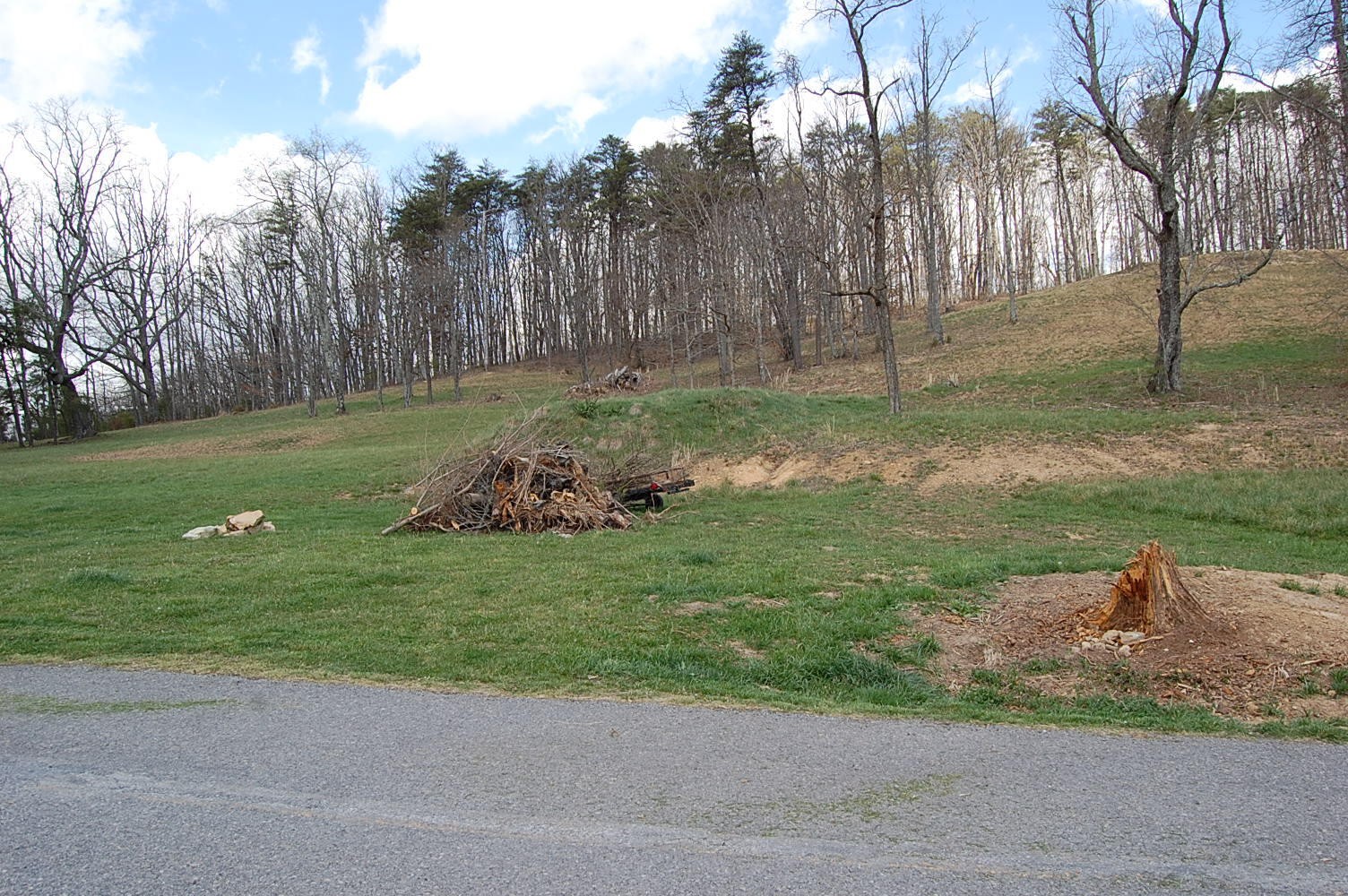 0 Bennie Camp Road Dunlap, TN 37327 - Photo 3 of 32 Gallery Image 3