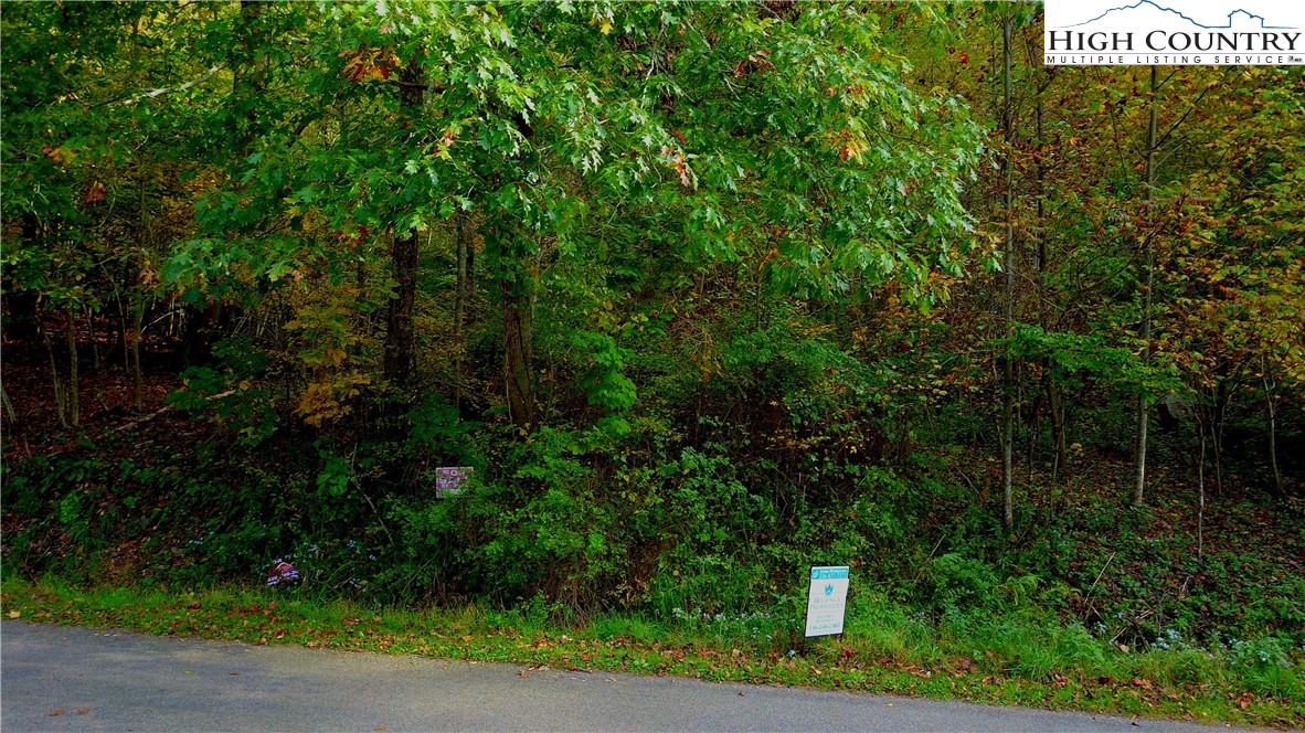 Clint Gilley Road Warrensville, NC 28693 - Photo 16 of 21 Gallery Image 16