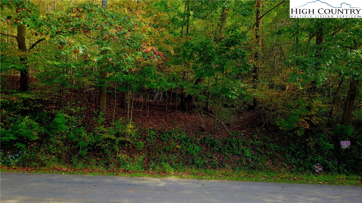 Clint Gilley Road Warrensville, NC 28693 - Photo 17 of 21 Gallery Image 17