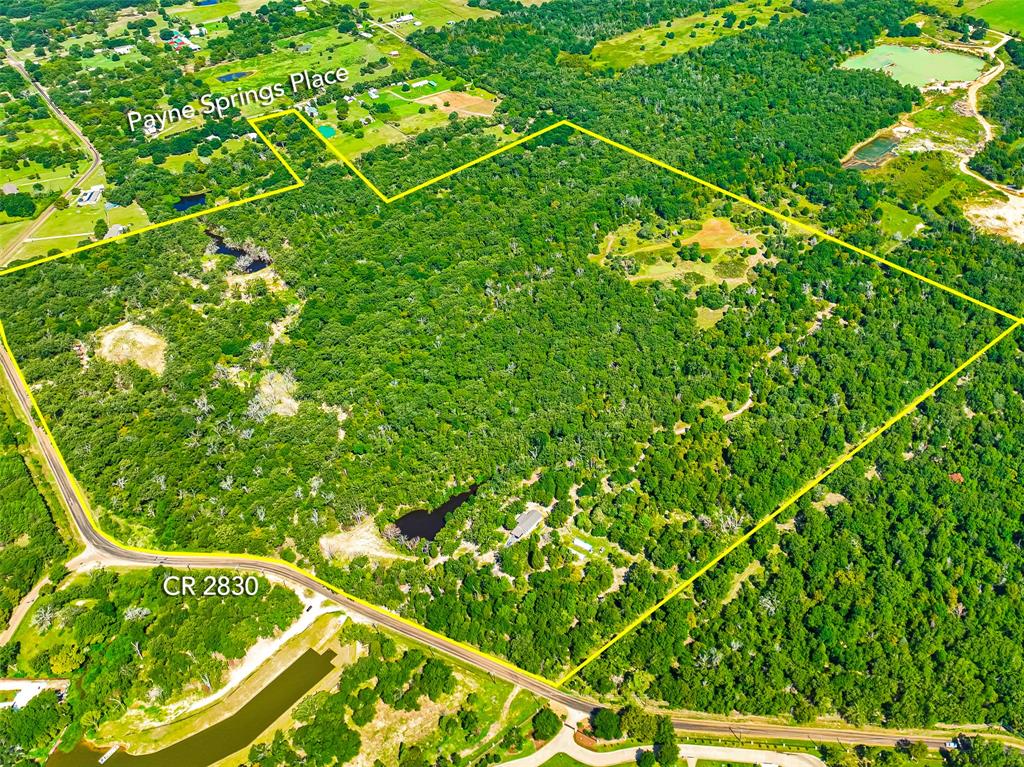 16300 County Road 2830 Mabank, TX 75156 - Photo 3 of 12 a view of a yard with plants