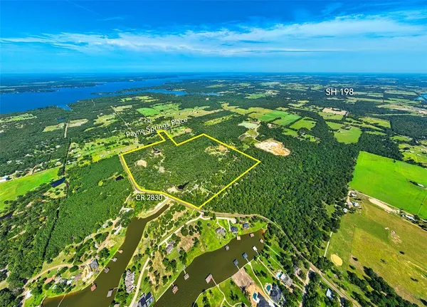 a view of a field with plants