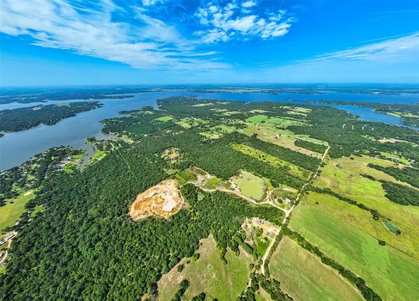view of a lake with a large trees