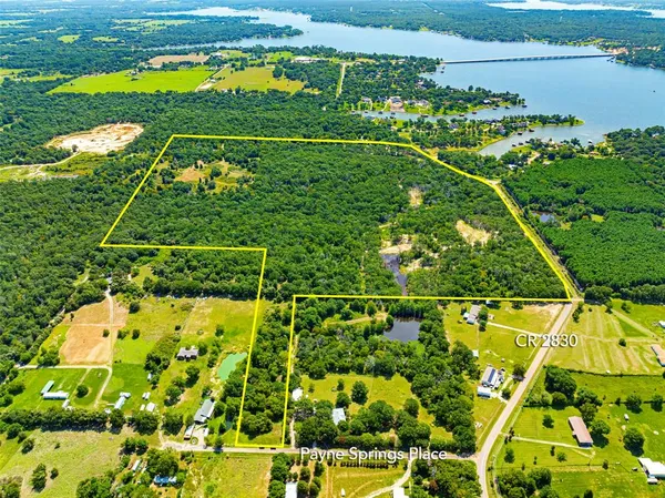 a view of a lush green forest with lots of trees
