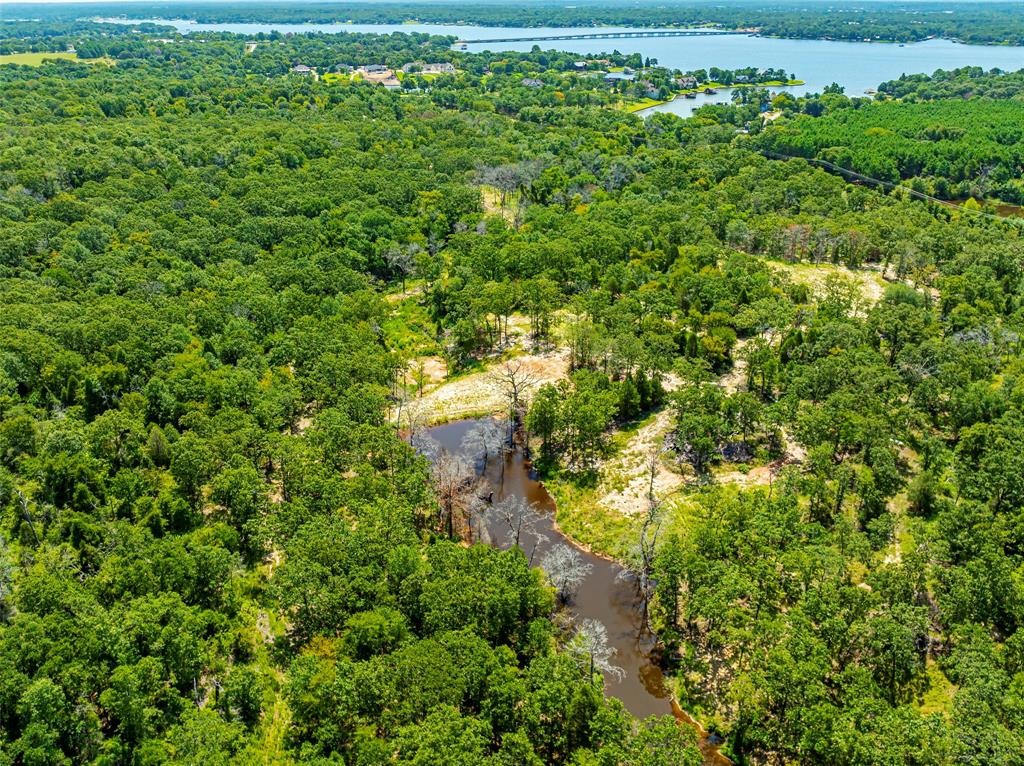 16300 County Road 2830 Mabank, TX 75156 - Photo 10 of 12 a view of a lush green forest with lots of trees