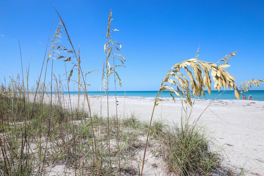 14 BayShore Circle Boca Grande, FL 33921 - Photo 7 of 14