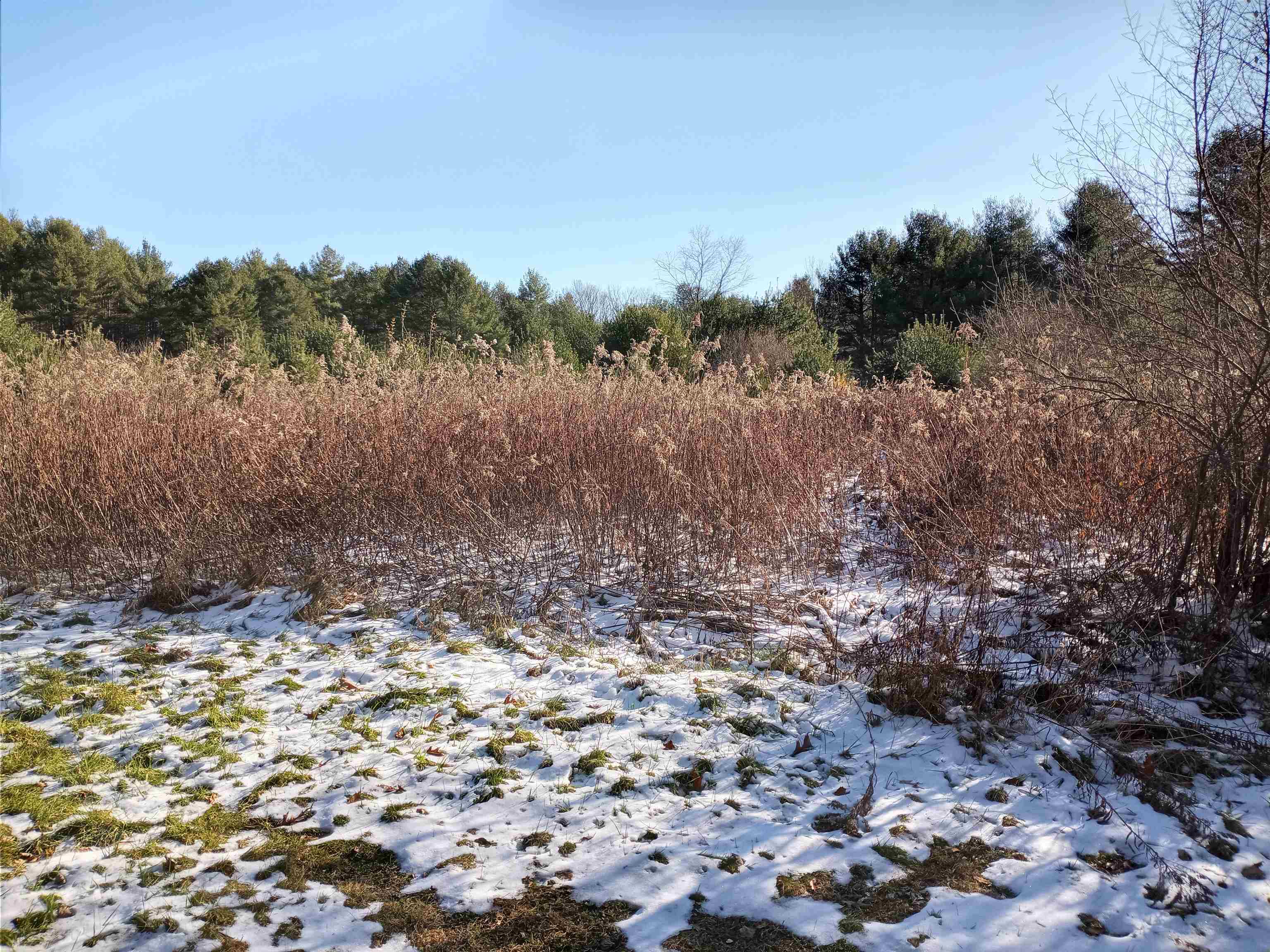 194 Town House Road Cornish, NH 03745 - Photo 26 of 29