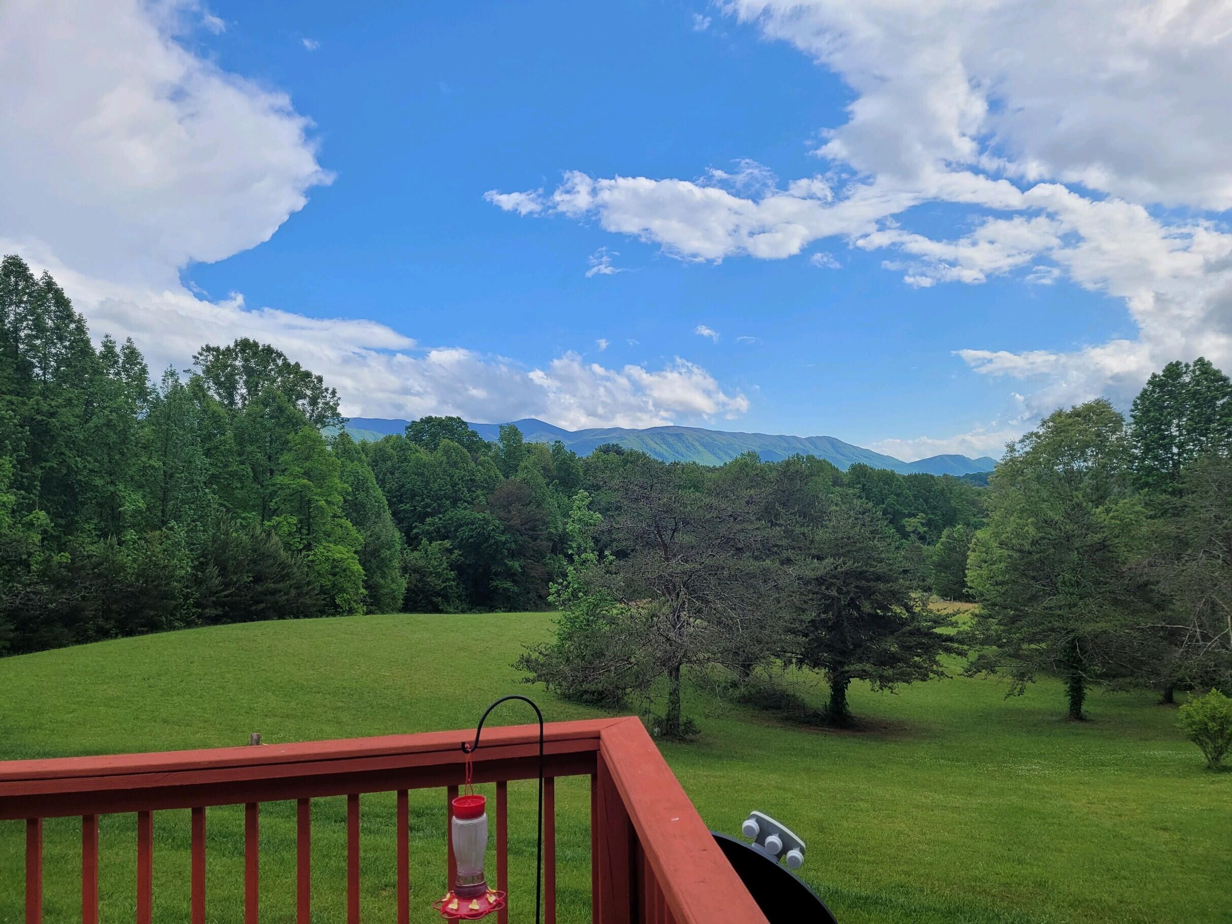610 Chestnut Ridge Road Afton, TN 37616 - Photo 35 of 44 20220506_163736