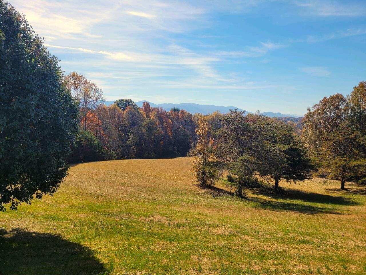 610 Chestnut Ridge Road Afton, TN 37616 - Photo 36 of 44 image98197