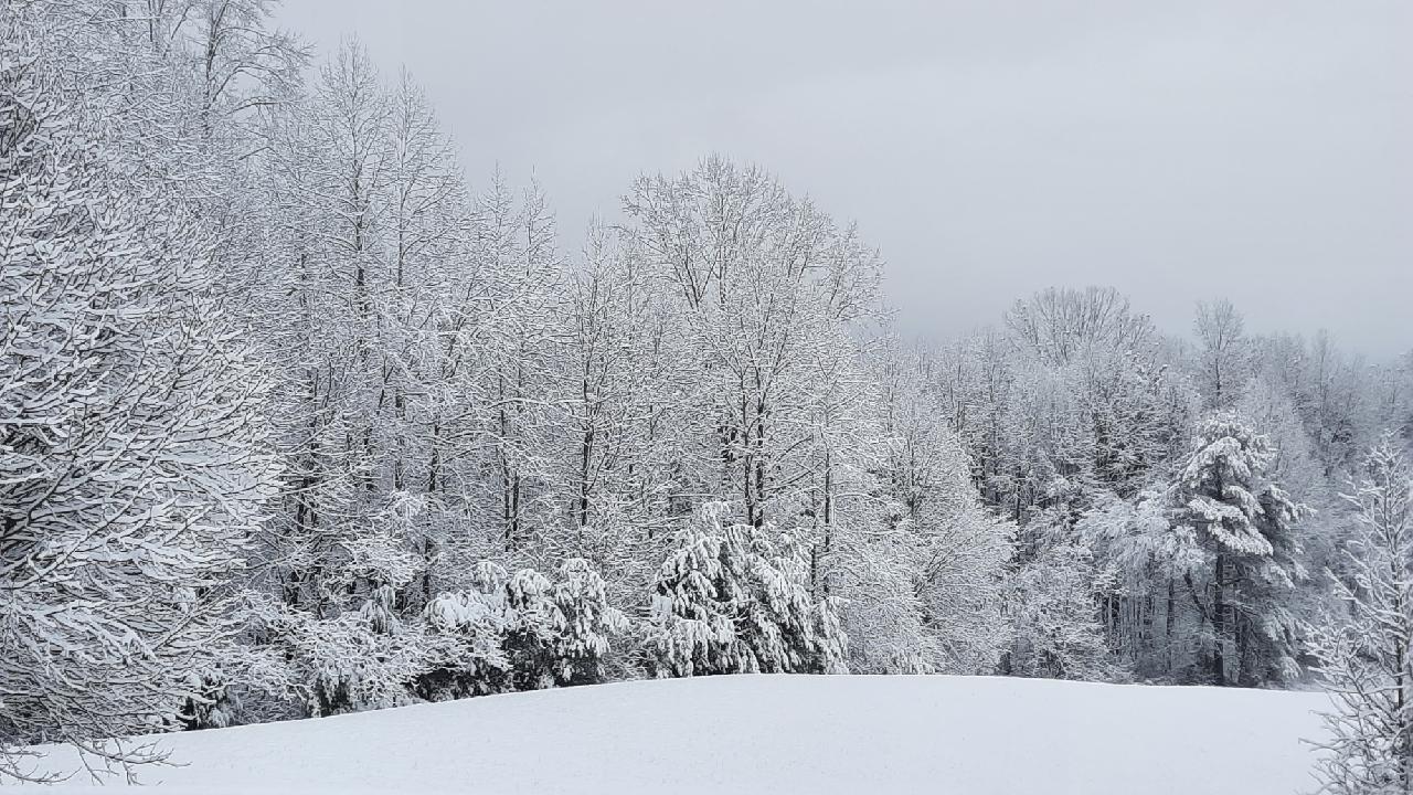 610 Chestnut Ridge Road Afton, TN 37616 - Photo 42 of 44 88186