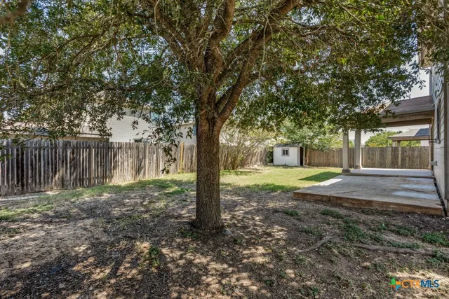 a view of a yard with tree s