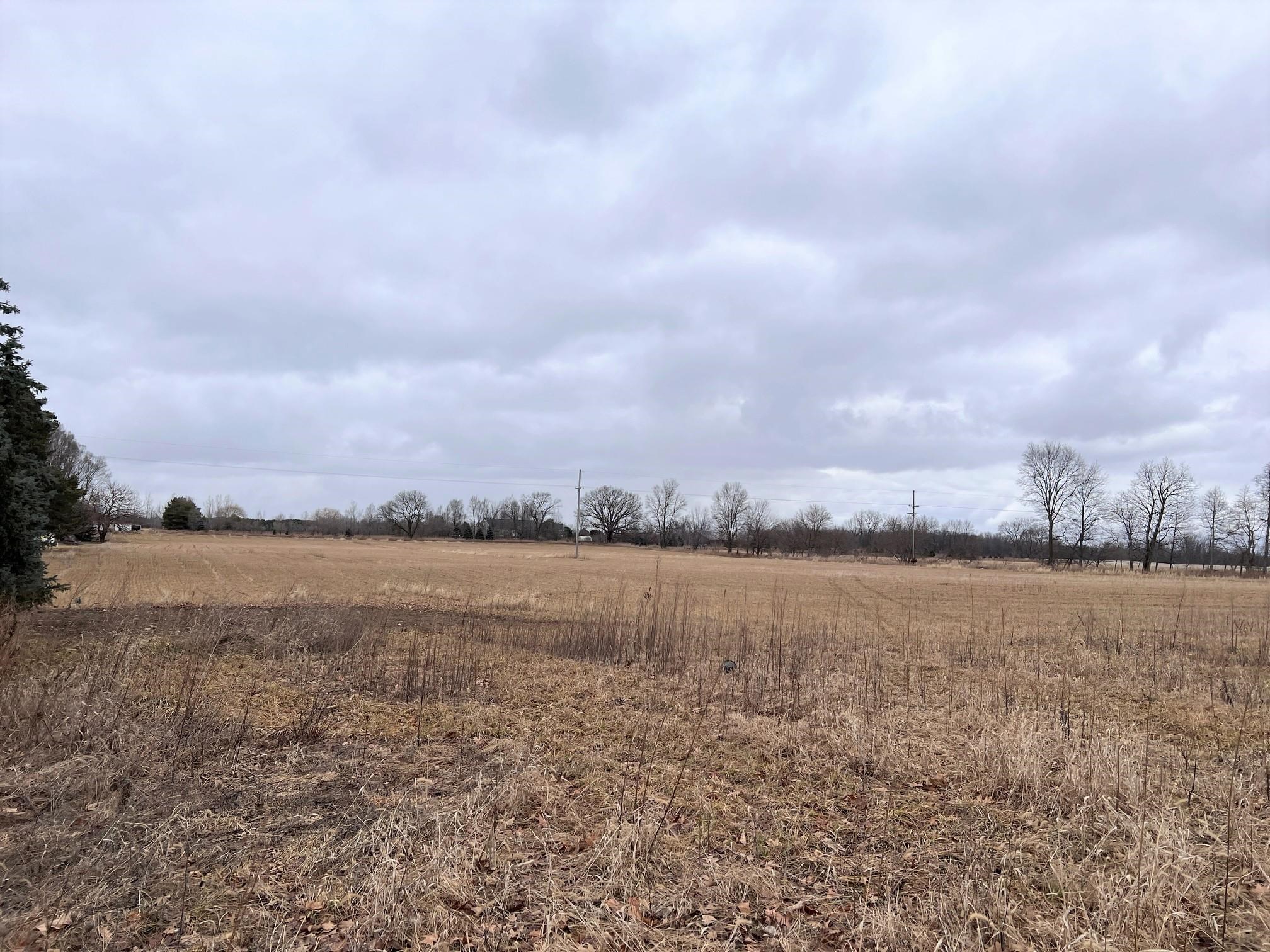 0 Krouse Road Ovid, MI 48866 - Photo 3 of 4