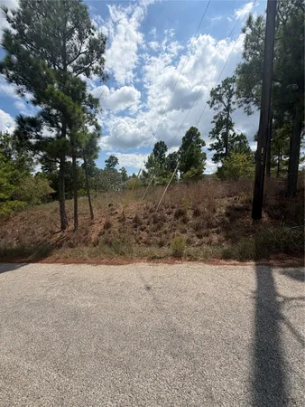 $54,995 | Lot 1189 Awehi Lane, Bastrop, TX 78602