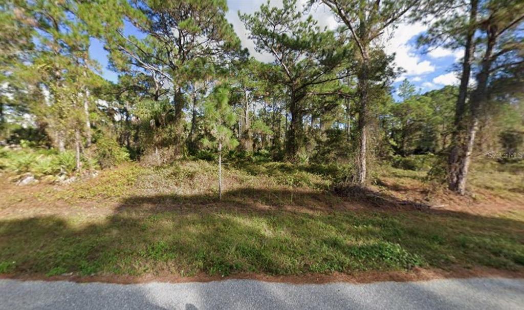 Gantry Rd Port North Port, FL 34288 - Photo 5 of 5 a view of a yard with plants and trees