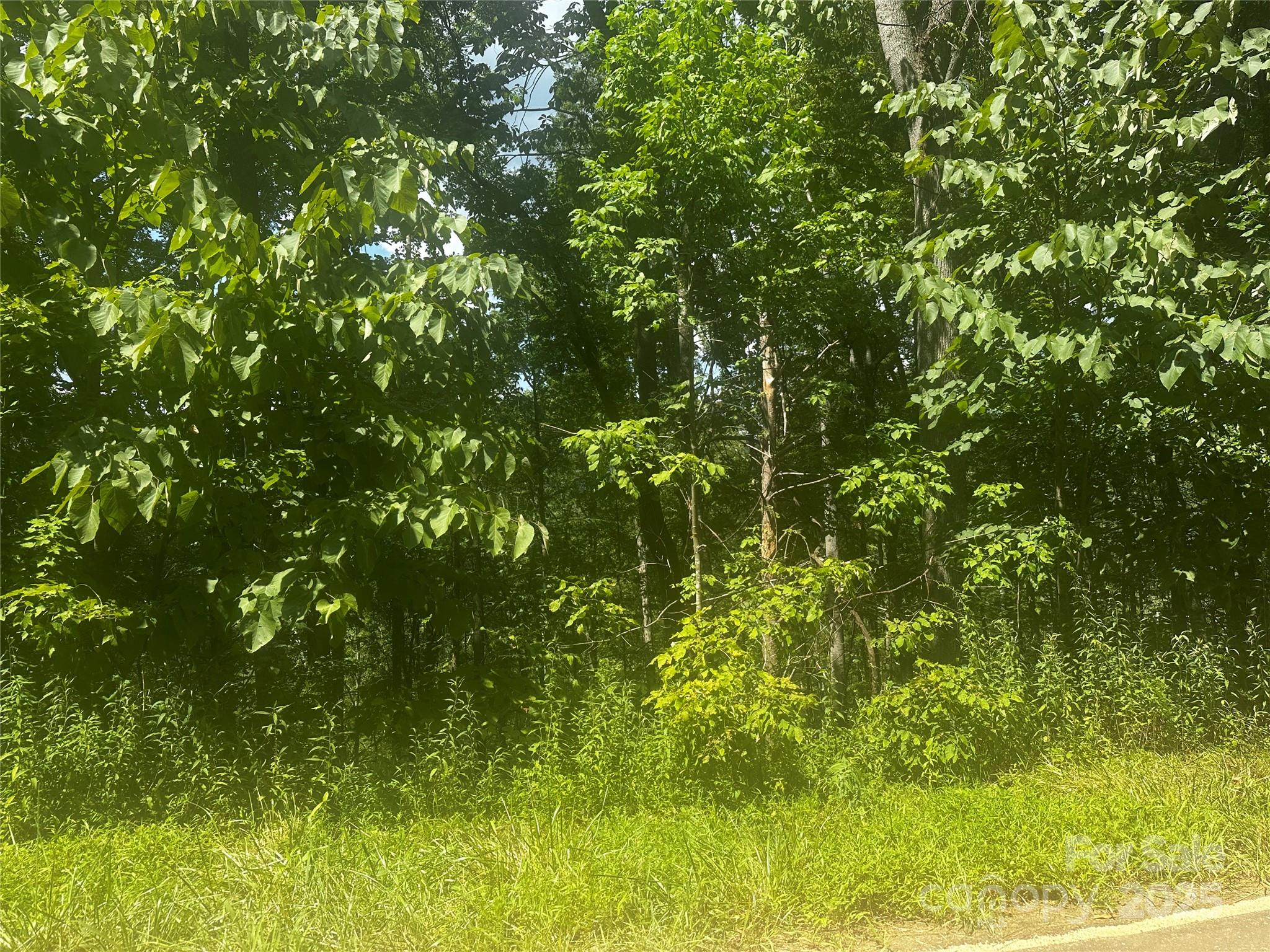 0 Rabbit Hop Road Spruce Pine, NC 28777 - Photo 2 of 7 Gallery Image 2