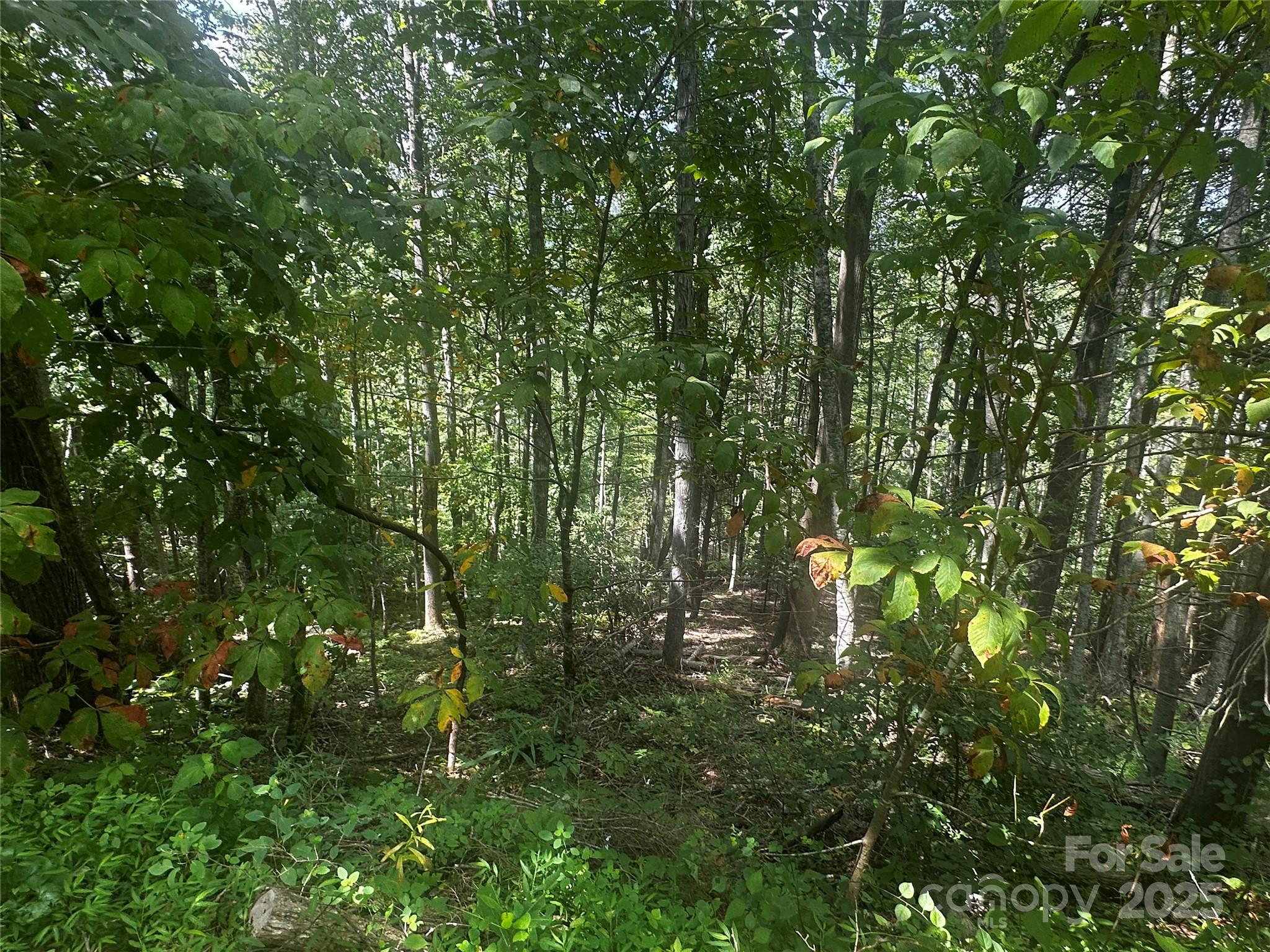 0 Rabbit Hop Road Spruce Pine, NC 28777 - Photo 5 of 7 Gallery Image 5