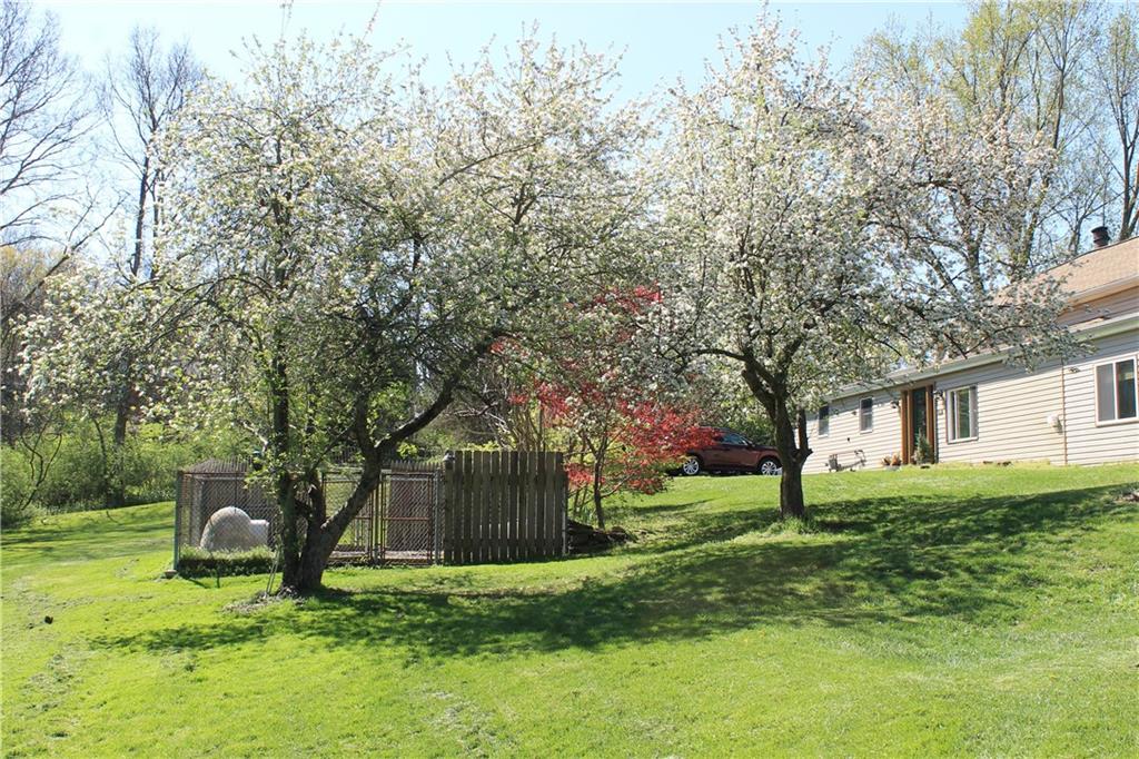 1160 Duff Road Sewickley, PA 15143 - Photo 19 of 25