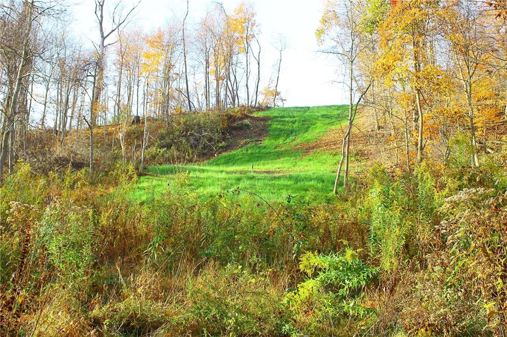 1160 Duff Road Sewickley, PA 15143 - Photo 24 of 25
