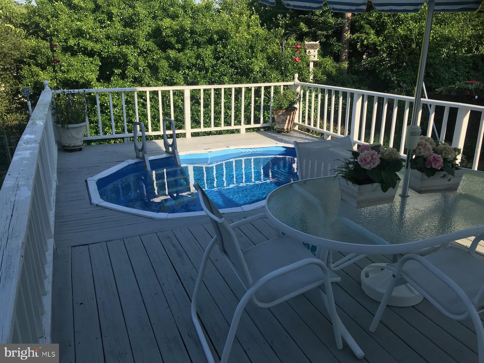 10107 Charington Road Cockeysville, MD 21030 - Photo 17 of 23 Saltwater pool
