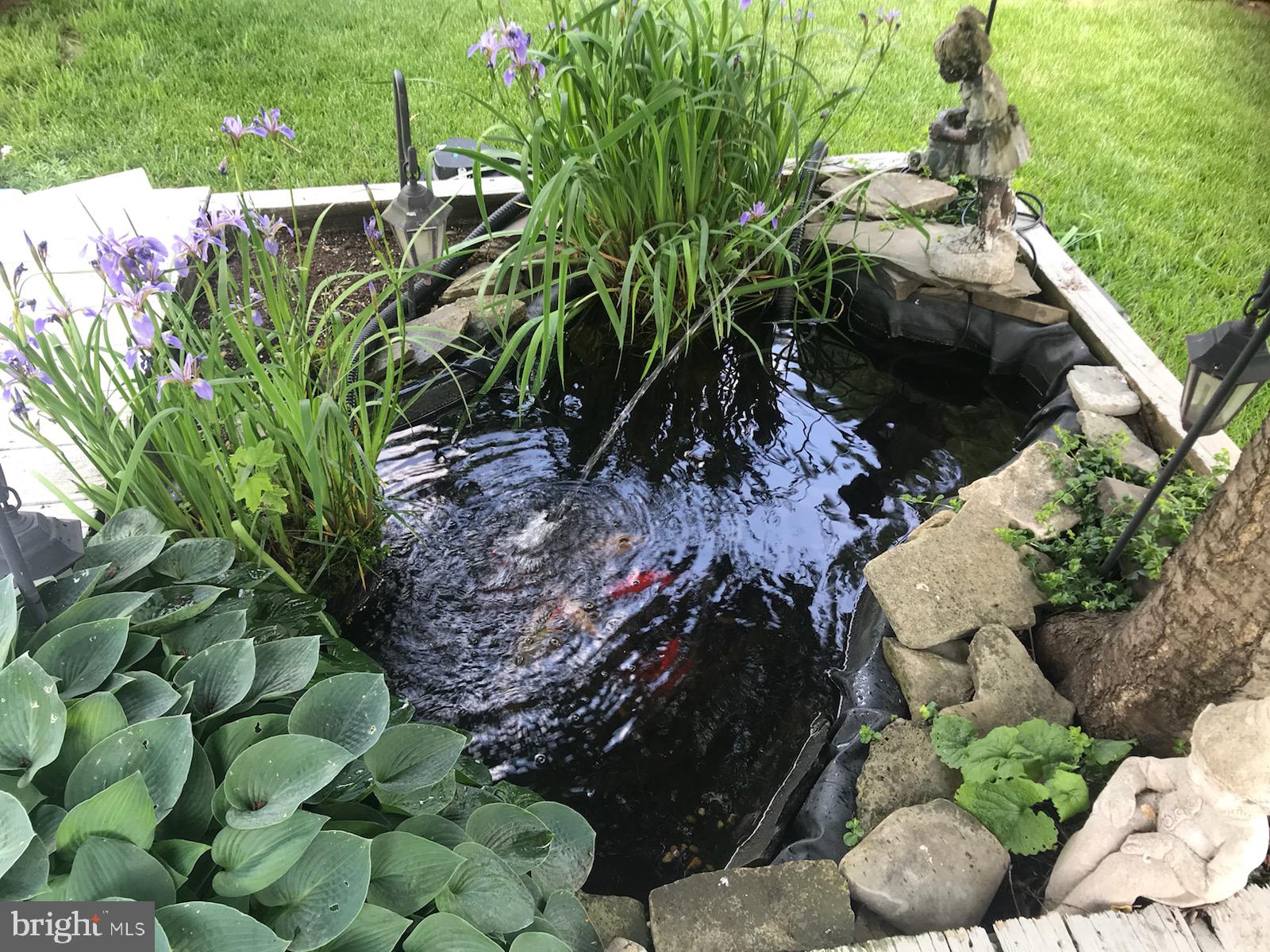 10107 Charington Road Cockeysville, MD 21030 - Photo 19 of 23 Personal pond
