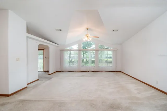 a view of park benches sitting below a green tree