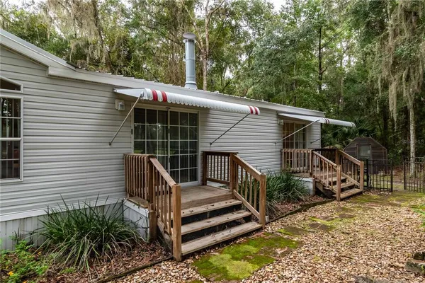 a view of park benches sitting below a green tree