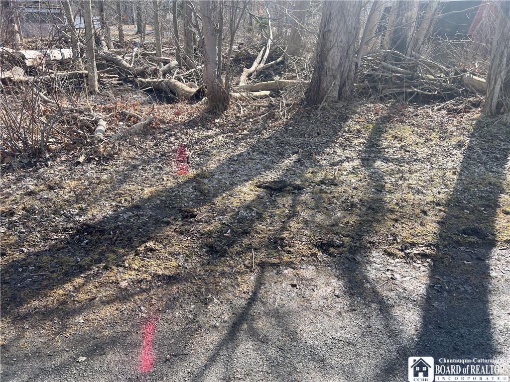 Longview Avenue Jamestown, NY 14701 - Photo 5 of 11