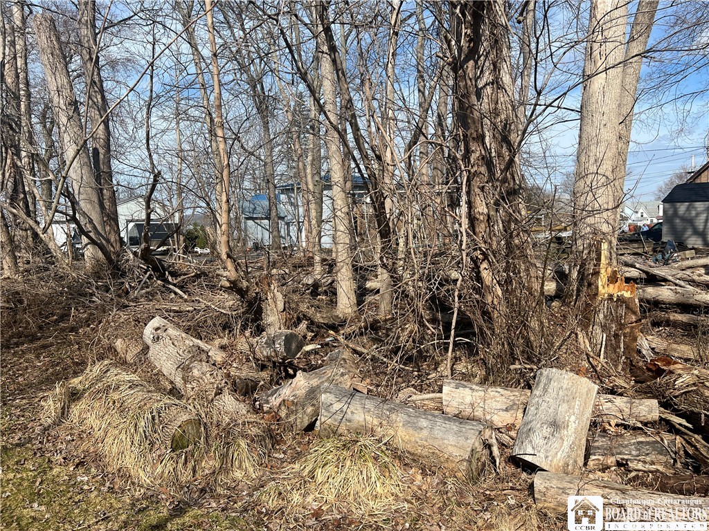 Longview Avenue Jamestown, NY 14701 - Photo 7 of 11