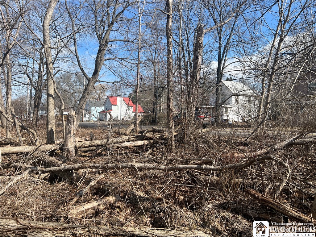 Longview Avenue Jamestown, NY 14701 - Photo 8 of 11
