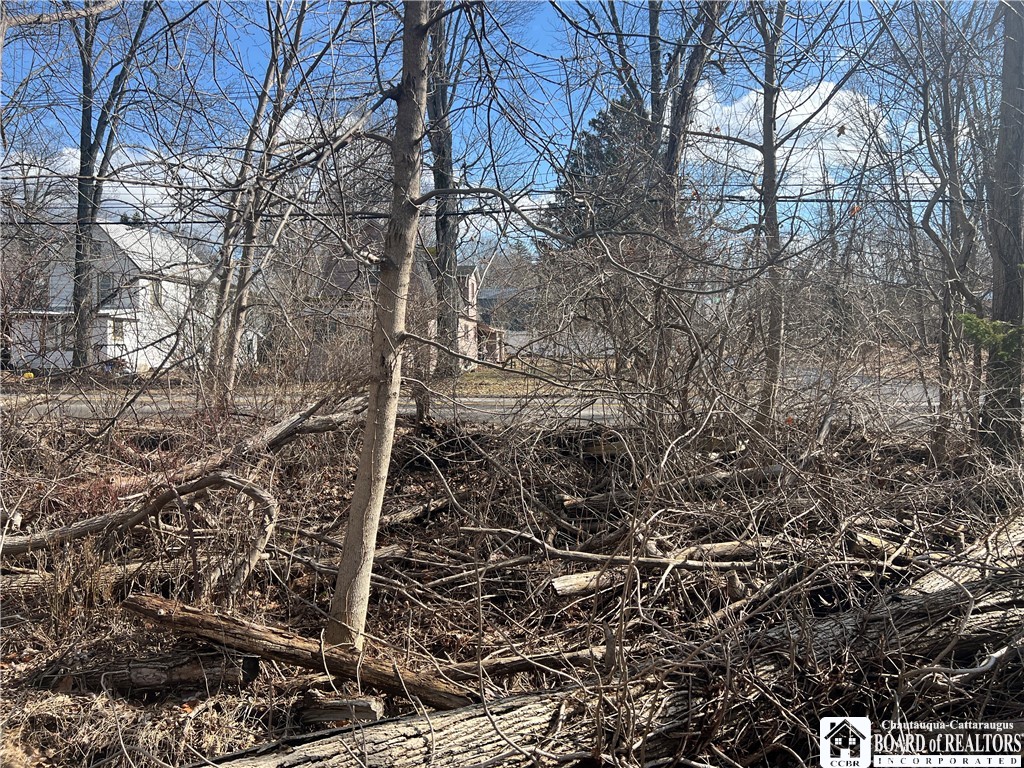 Longview Avenue Jamestown, NY 14701 - Photo 9 of 11