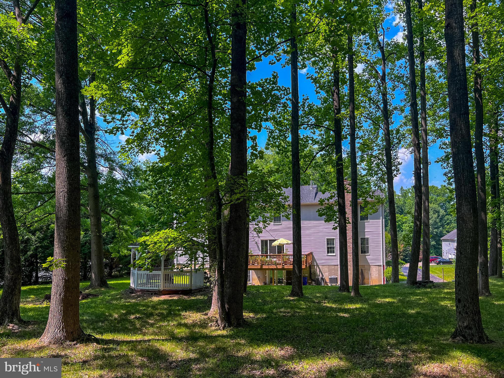 1406 Woodwell Road Silver Spring, MD 20906 - Photo 51 of 58