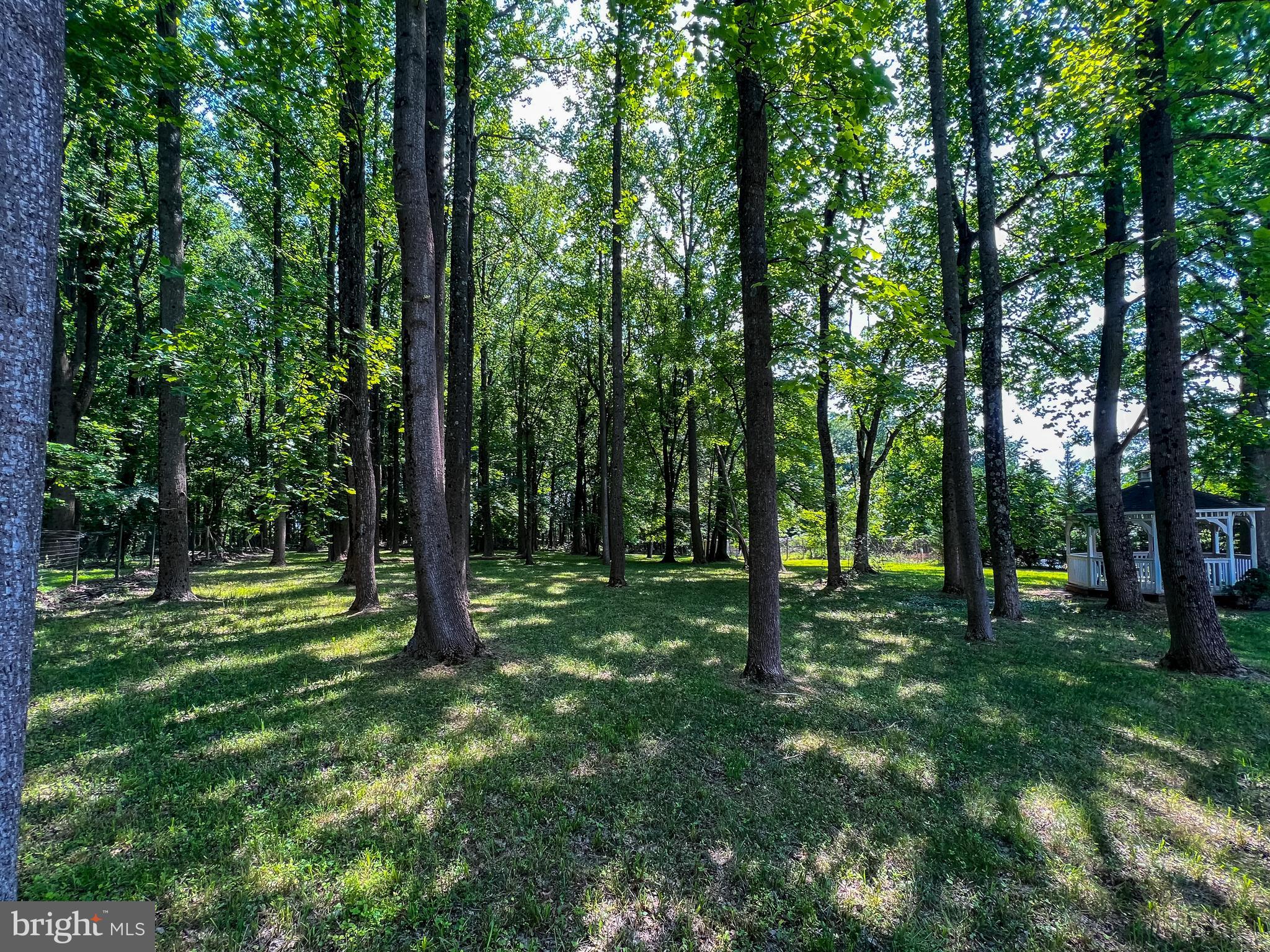 1406 Woodwell Road Silver Spring, MD 20906 - Photo 54 of 58