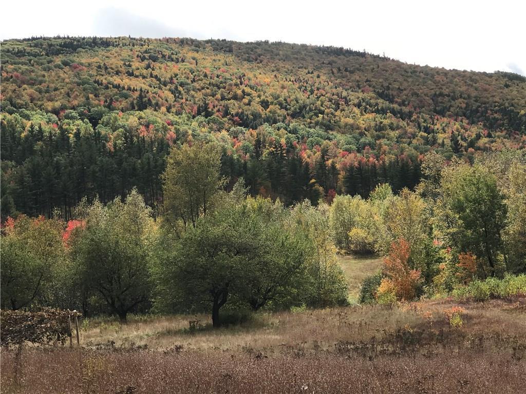 0 Bog Road Bethel, ME 04217 - Photo 1 of 17 Photo