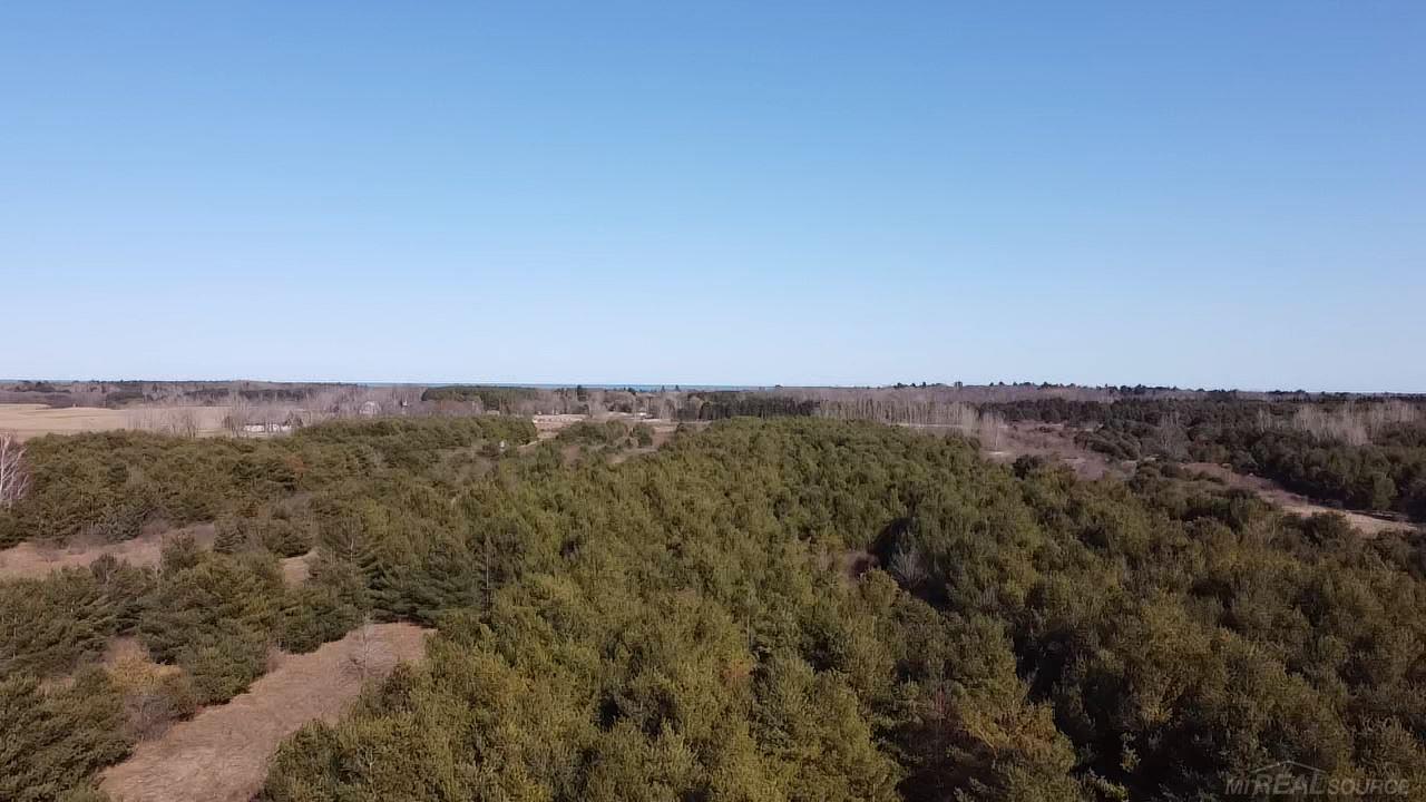 East Deckerville Road Deckerville, MI 48427 - Photo 2 of 3