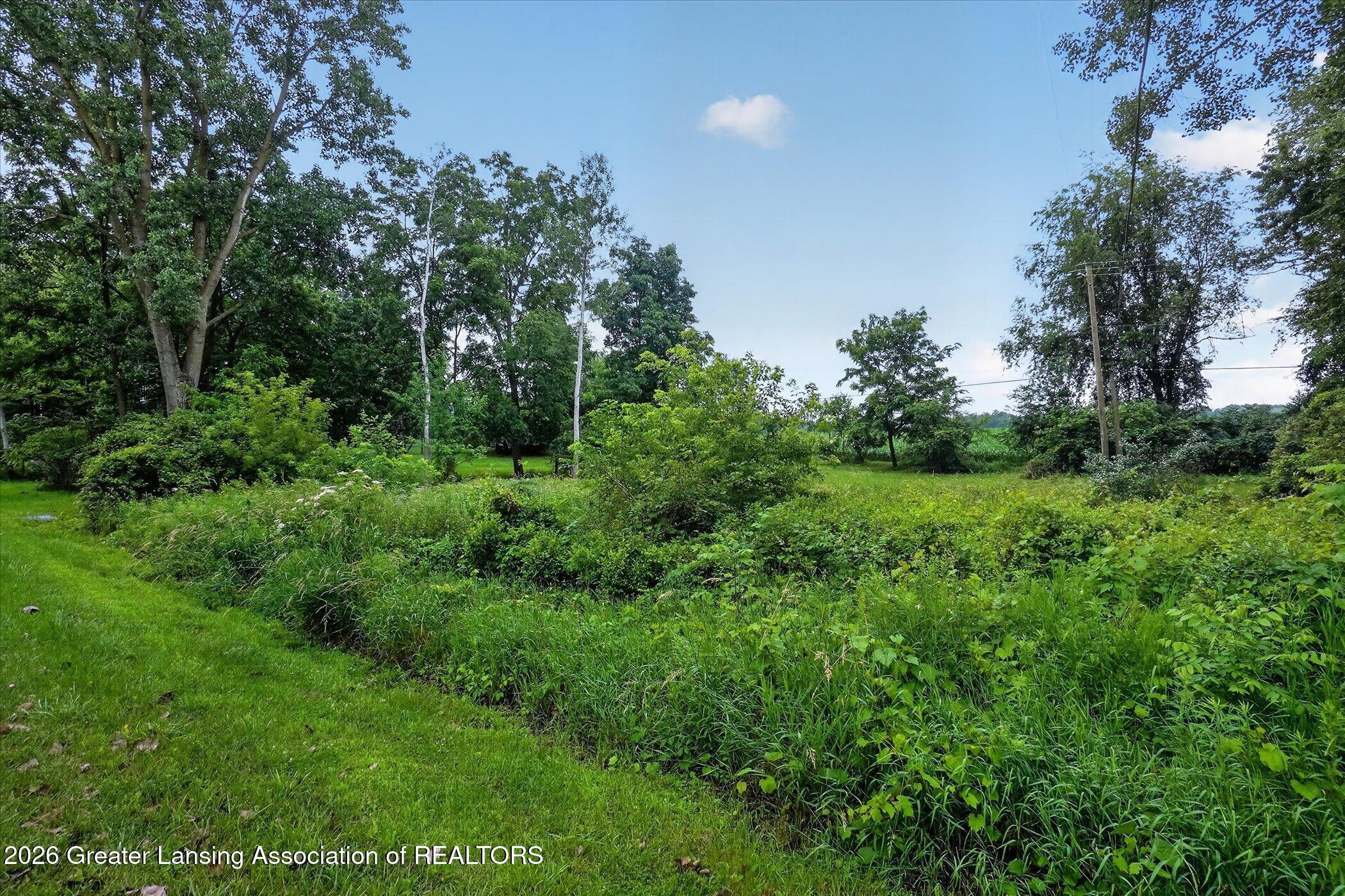1695 West Solon Road Dewitt, MI 48820 - Photo 41 of 50 48-1695-W-Solon-Rd-WindowStill